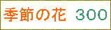 �G�߂̉ԁ@300